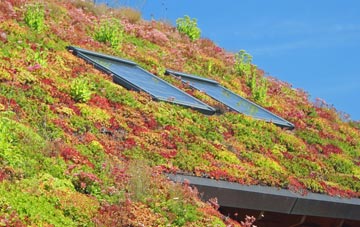 Blaenannerch living roof systems